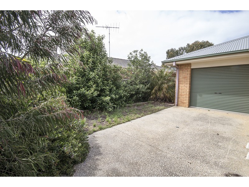43A Glaneuse Avenue, Torquay VIC 3228