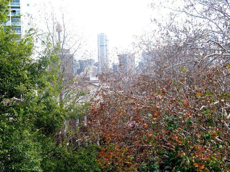 26/14 Royston Street, Darlinghurst NSW 2010