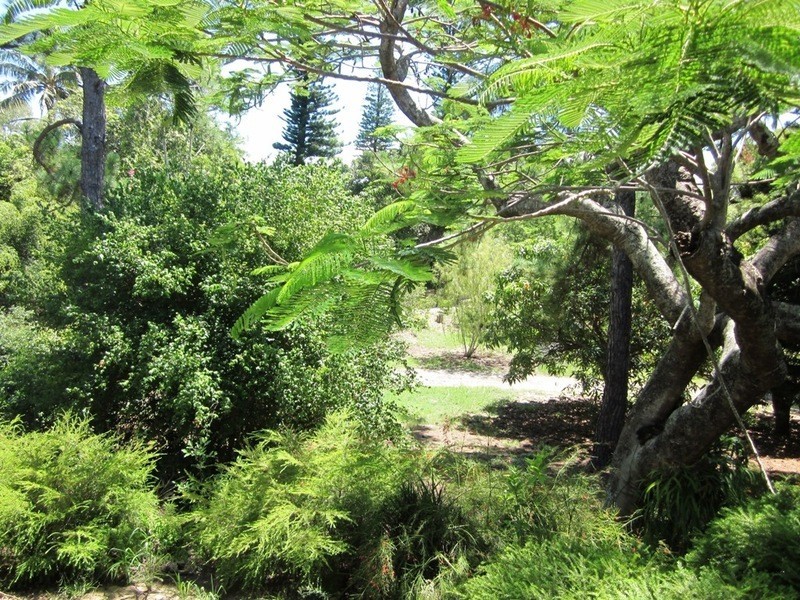 204 Shoal Point Road, Shoal Point QLD 4750