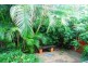 29 Wall Street, Eimeo QLD 4740