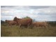Gin Gin QLD 4671