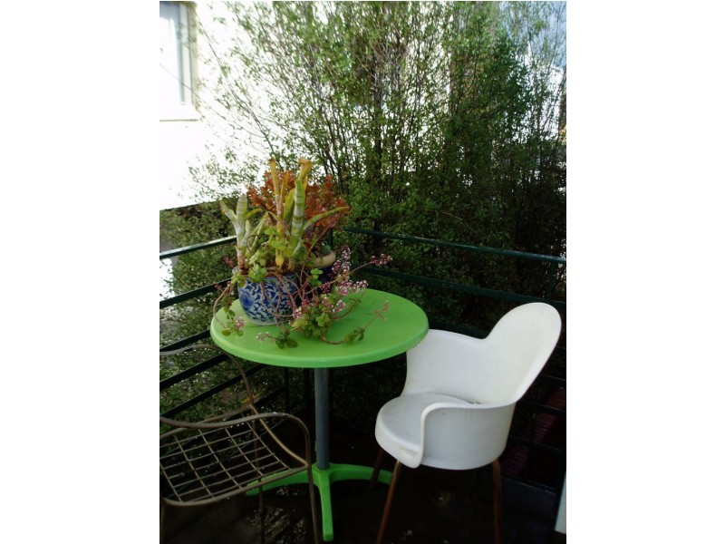 3 Woonsocket Court, St Kilda VIC 3182