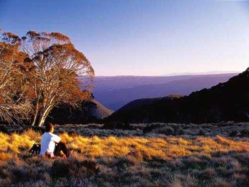 35 Cuff’n Collar Lane, Dinner Plain VIC 3898