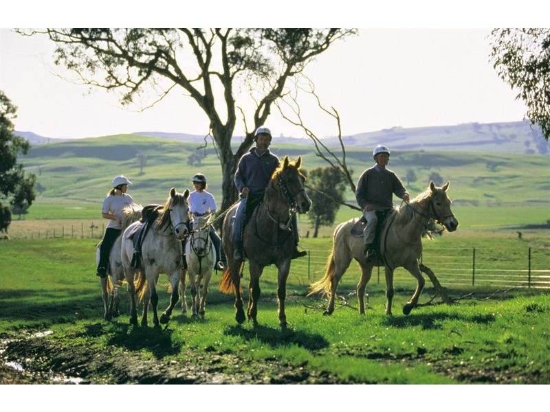 562 Big Muster Drive, Dinner Plain VIC 3898