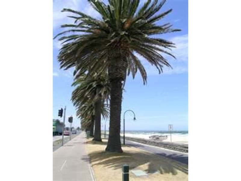 Port Melbourne VIC 3207