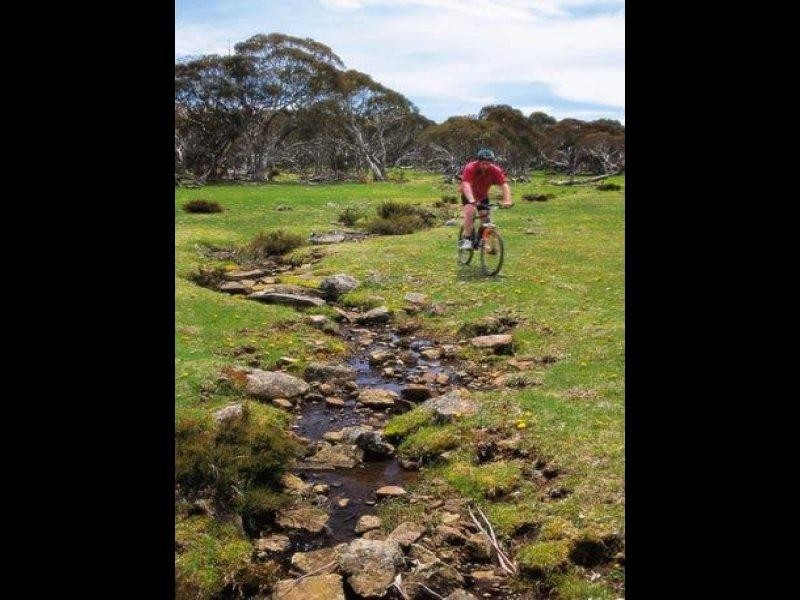 1 Roney Macs Twist, Dinner Plain VIC 3898