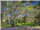 95 Orient Drive, Sunrise Beach QLD 4567