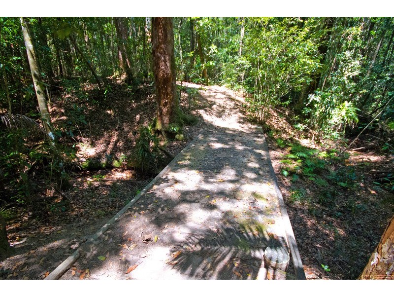 50 Firewheel Road, Ringtail Creek QLD 4565
