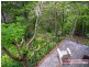 24 Attunga Heights, Noosa Heads QLD 4567