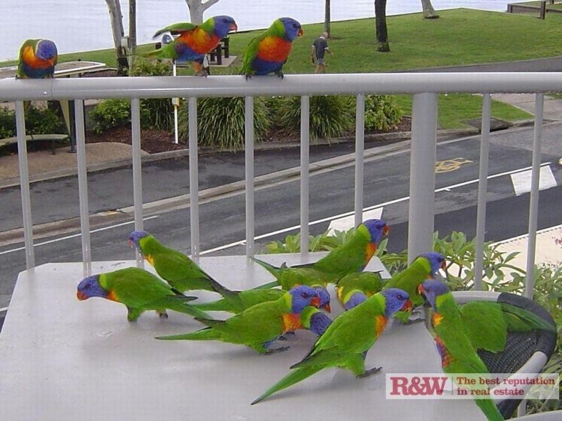 7/267 Elkedra, Gympie Terrace, Noosaville QLD 4566