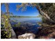 135 Lake Weyba Drive, Noosaville QLD 4566