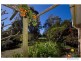 135 Lake Weyba Drive, Noosaville QLD 4566