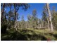 135 Lake Weyba Drive, Noosaville QLD 4566