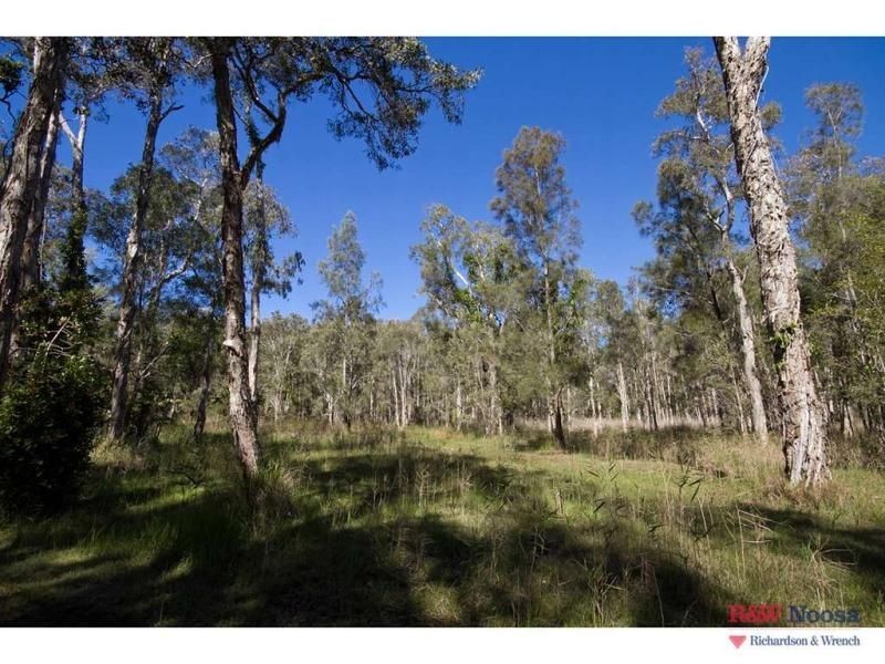 135 Lake Weyba Drive, Noosaville QLD 4566