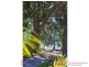 179 Weyba Road, Noosaville QLD 4566