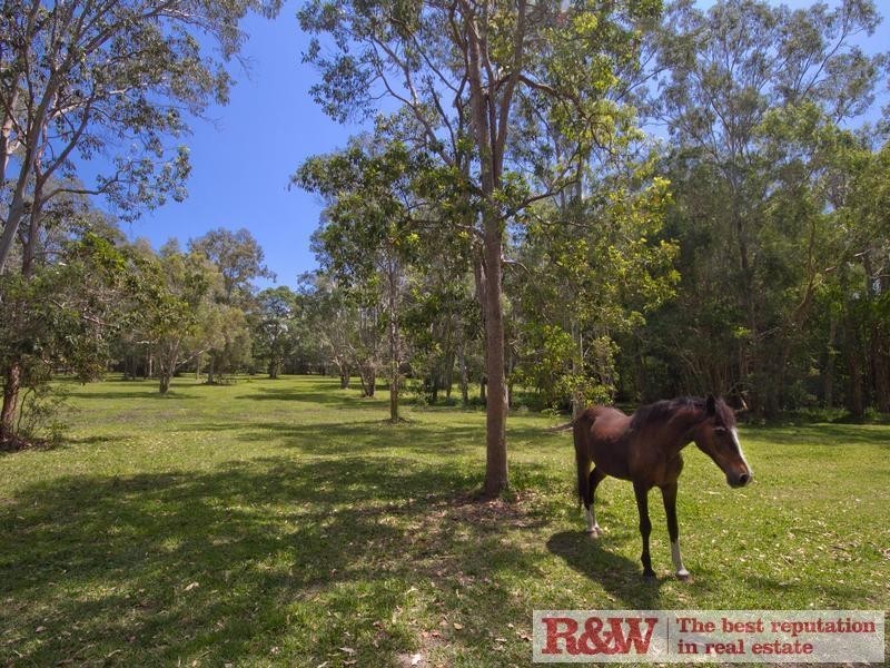 114 Goodwin Street, Tewantin QLD 4565