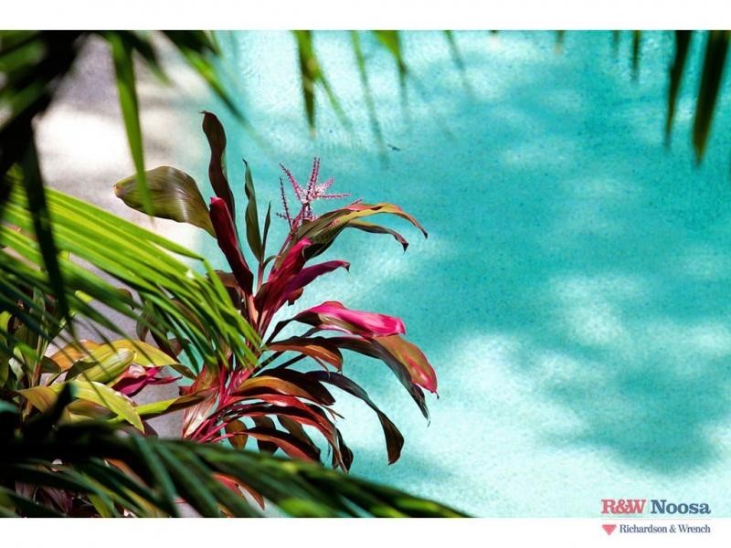 12/179 South Pacific, Weyba Road, Noosaville QLD 4566