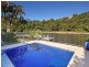 49 Witta Circle, Noosa Heads QLD 4567