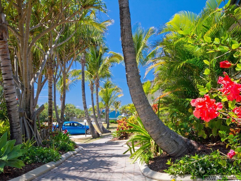 15 “The Beach Breakers”/75 David Low Way, Sunrise Beach QLD 4567