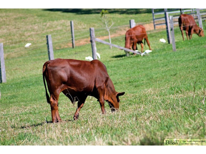 179 Lone Hand Road, Eumundi QLD 4562