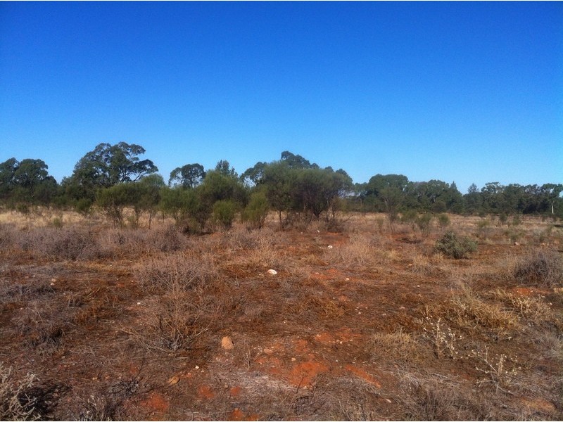 Mount Hope NSW 2877
