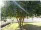 Redbank Plains QLD 4301