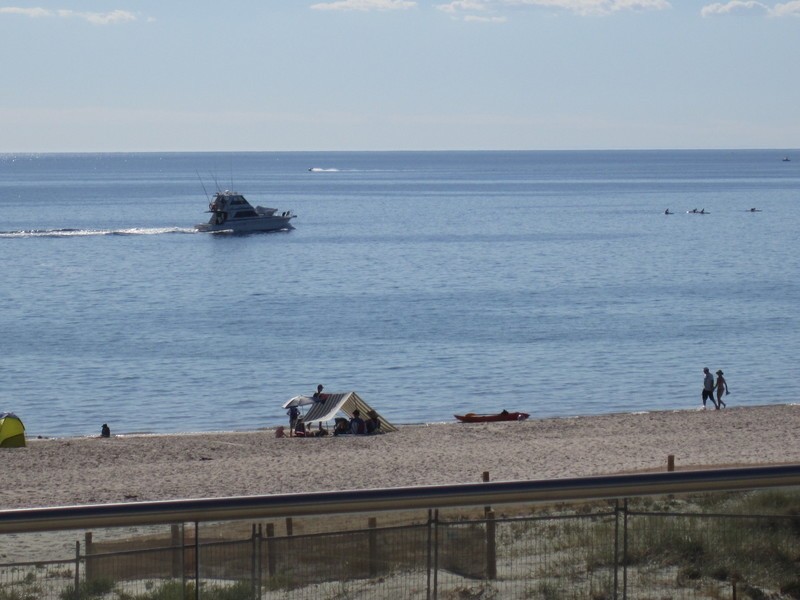 55 Edwards Street, Brighton SA 5048