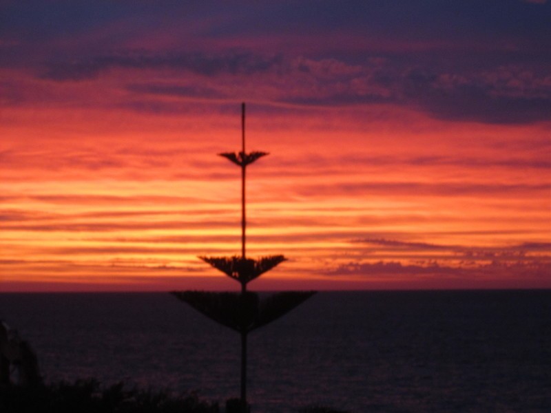 55 Edwards Street, Brighton SA 5048