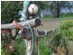 46 Apex Point Road, White Beach TAS 7184
