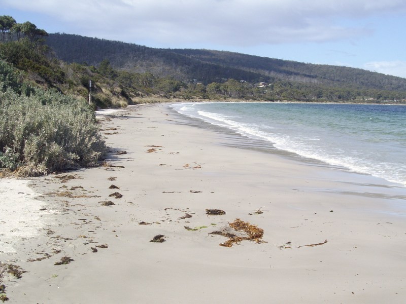 46 Apex Point Road, White Beach TAS 7184