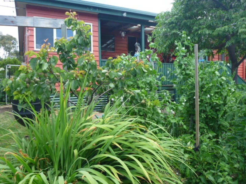 46 Apex Point Road, White Beach TAS 7184