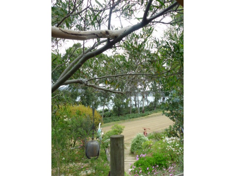 46 Apex Point Road, White Beach TAS 7184