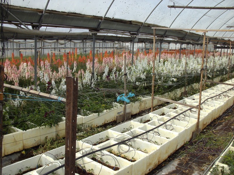 118 – 120 Smiths Lane, Pearcedale VIC 3912