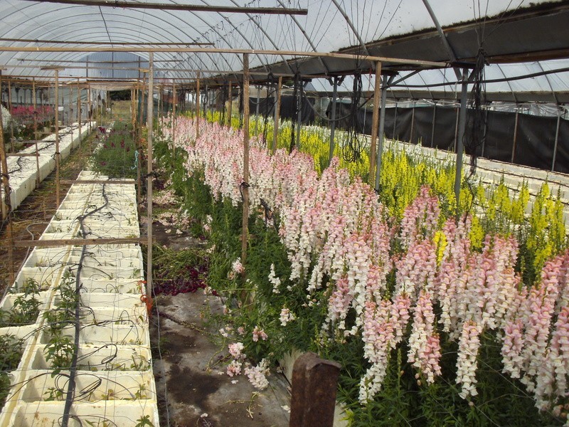 118 – 120 Smiths Lane, Pearcedale VIC 3912