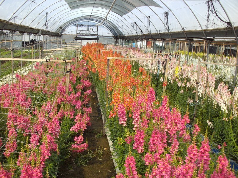 118 – 120 Smiths Lane, Pearcedale VIC 3912