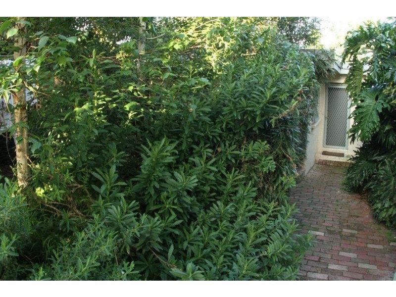 1/33 Foch St, Box Hill South VIC 3128