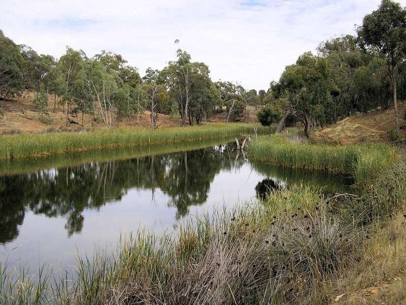 630 Landsborough Elmhurst Rd, Landsborough VIC 3384