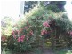 110 Brays Road, Sheffield TAS 7306