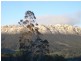 110 Brays Road, Sheffield TAS 7306