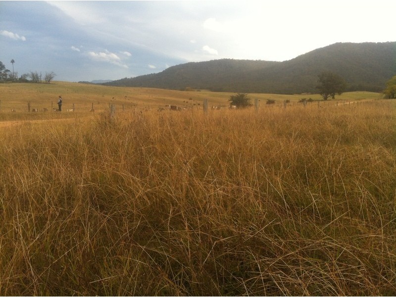 Lot 2 Catholic Cemetery Rd, Araluen NSW 2622