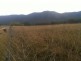 Lot 2 Catholic Cemetery Rd, Araluen NSW 2622
