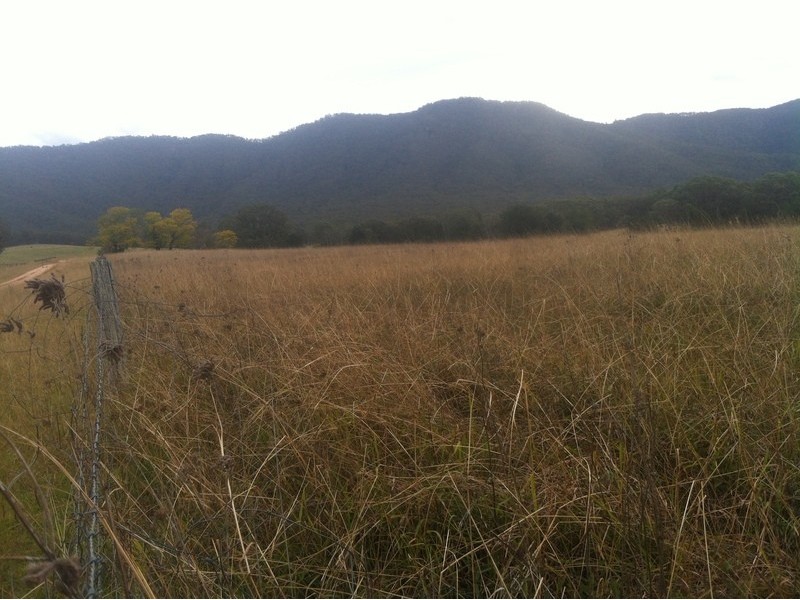 Lot 2 Catholic Cemetery Rd, Araluen NSW 2622