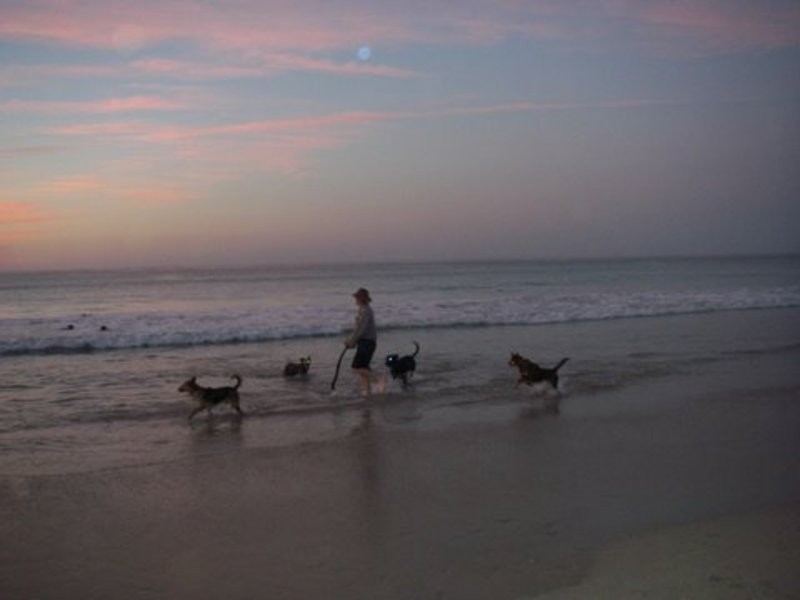 6285 North Coast Road, Middle River SA 5223