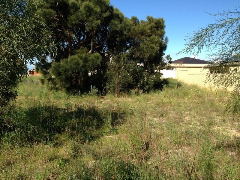 29 Hyden Loop, Dawesville WA 6211