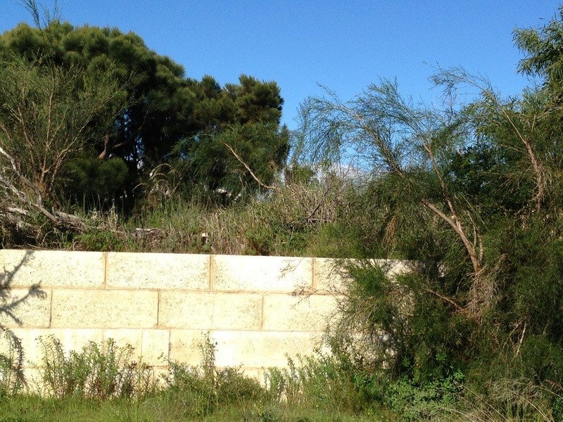 29 Hyden Loop, Dawesville WA 6211