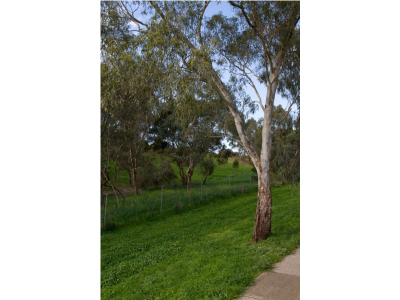 1 Mura Close, Greensborough VIC 3088