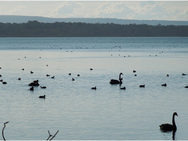 46 Goonawarra Drive, Cudmirrah NSW 2540