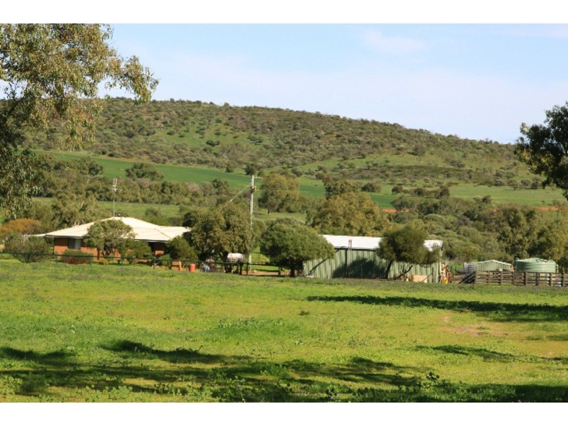 393 Isseka Road East, Bowes WA 6535