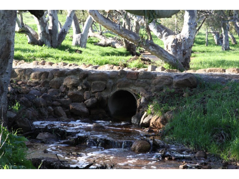 393 Isseka Road East, Bowes WA 6535