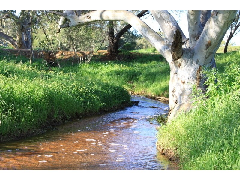 393 Isseka Road East, Bowes WA 6535